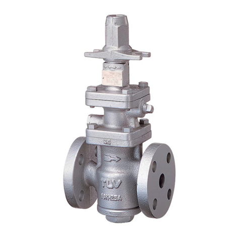 TLV COSR-3 User manual