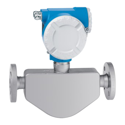 Endress+Hauser LPGmass Brief operating instructions Endress+Hauser LPGmass Brief operating instructions
