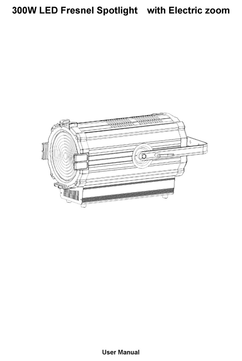 V-Show FSP300 user manual