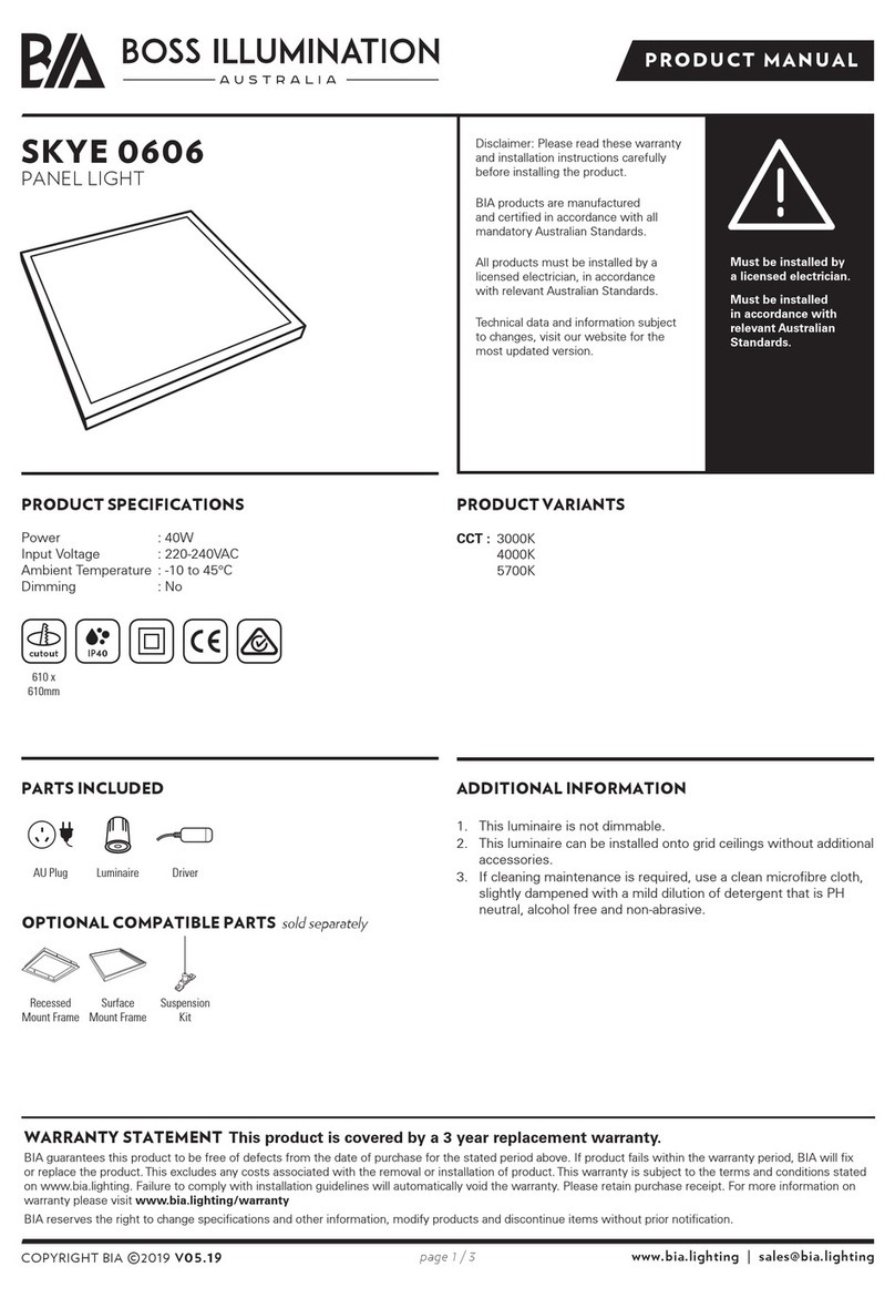 BOSS ILLUMINATION SKYE 0606 product manual