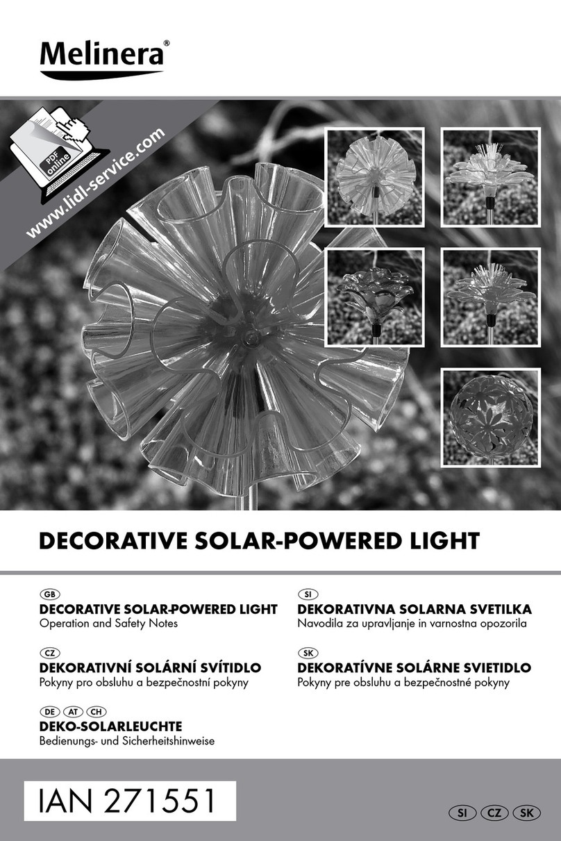 MELINERA HG00319A User manual