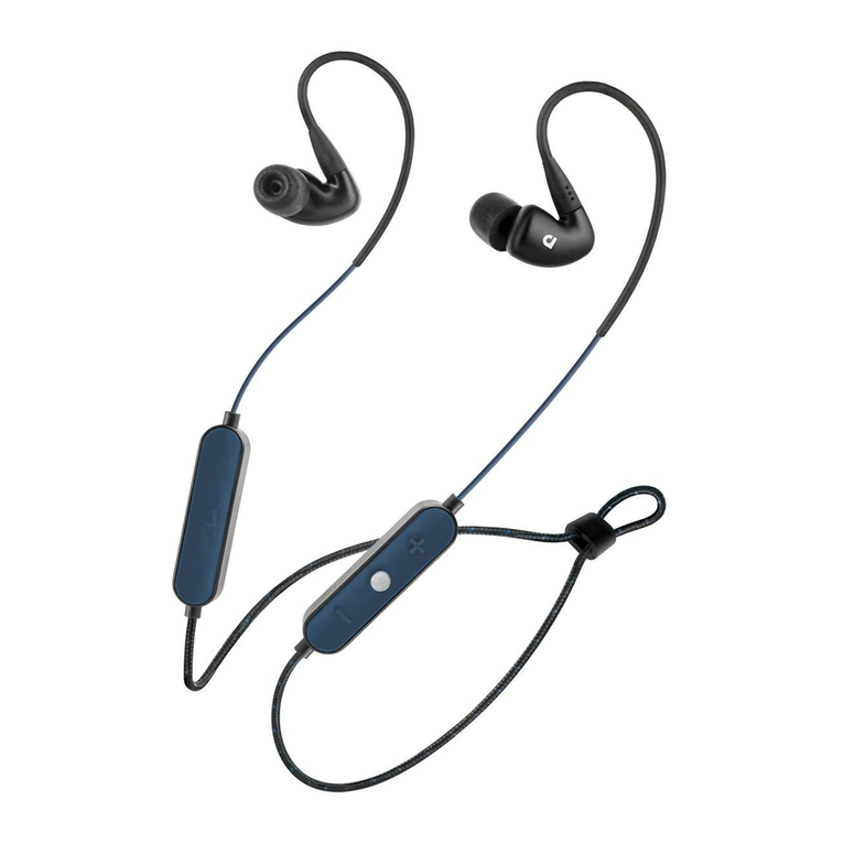 AUDIOFLY AF100W user manual