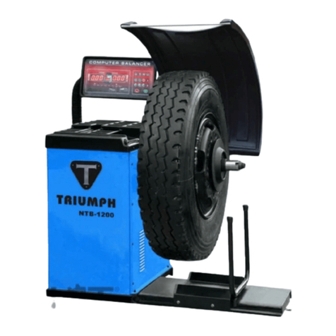 Triumph NTB-1200 manual