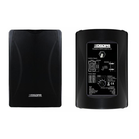 DSPPA DSP8063B User manual