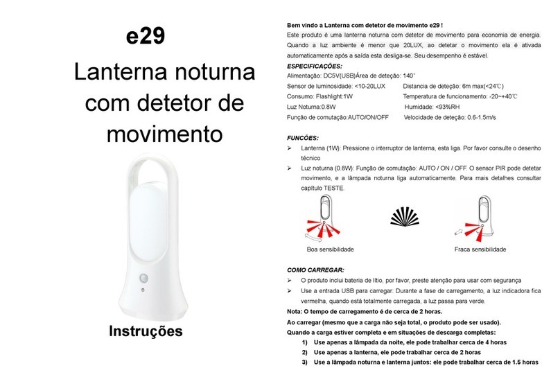 Electra e29 instructions