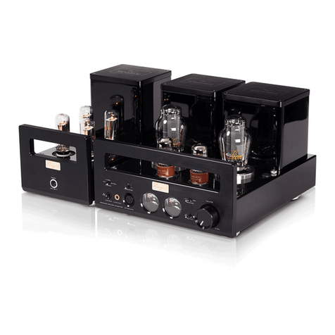 Cayin HA-300 MK2 User manual
