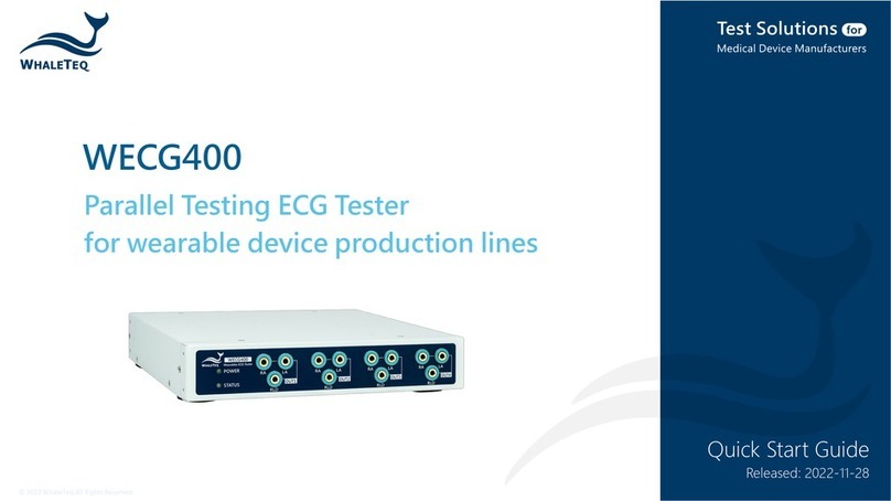 WHALETEQ WECG400 manual