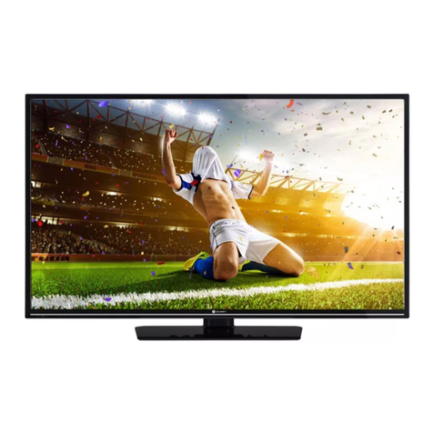 Gogen TVF40R25FE User manual