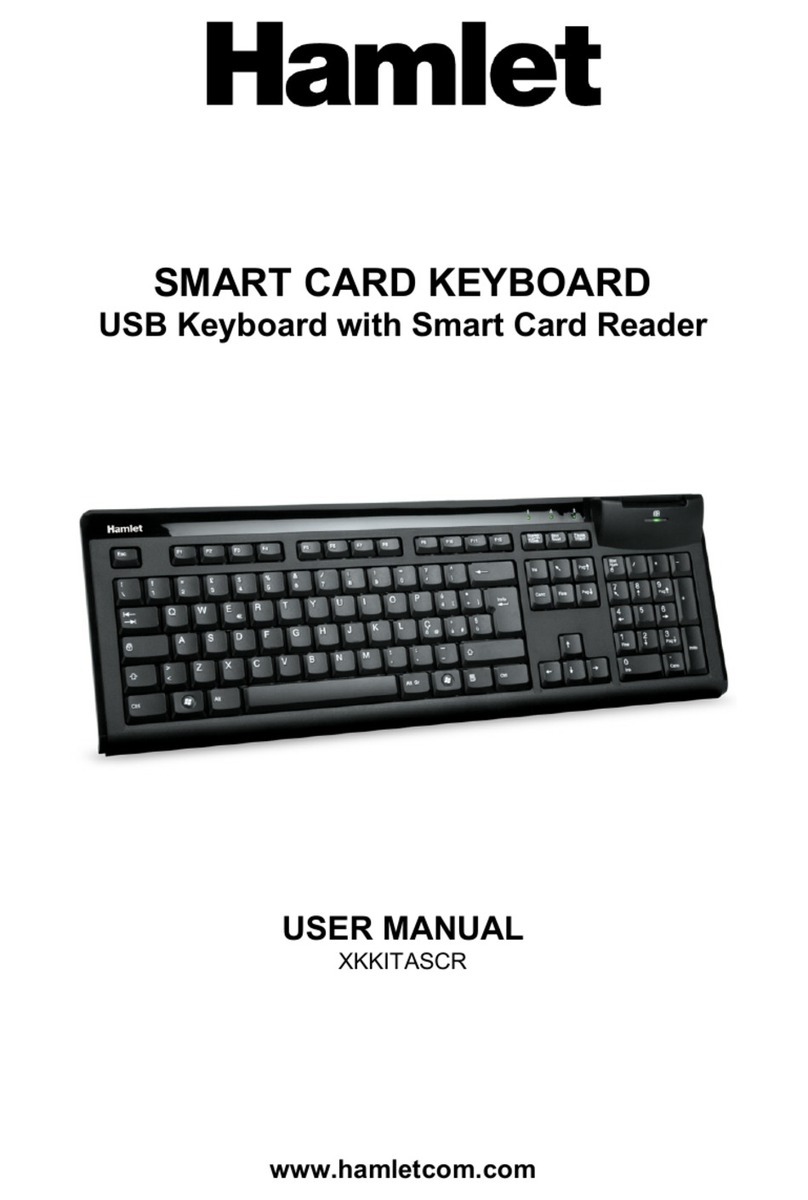 Hamlet XKKITASCR user manual