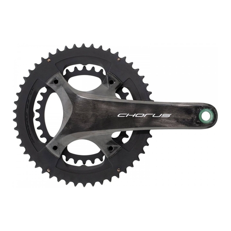 CAMPAGNOLO Ergopower Record 12s User manual