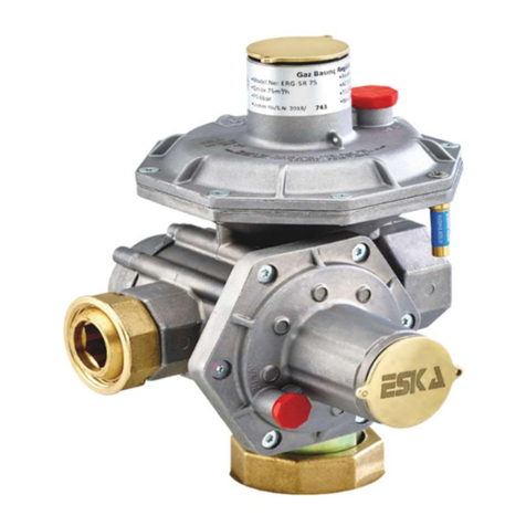 ESKA ERG-SR Instructions for installation, use and maintenance manual