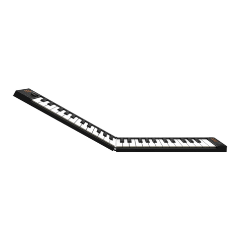 Carry-on Folding Controller 49 owner's manual