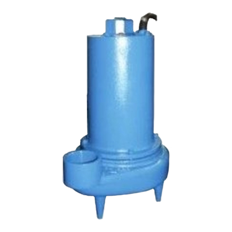 Barnes 3SE-DS Series Installation and operation manual
