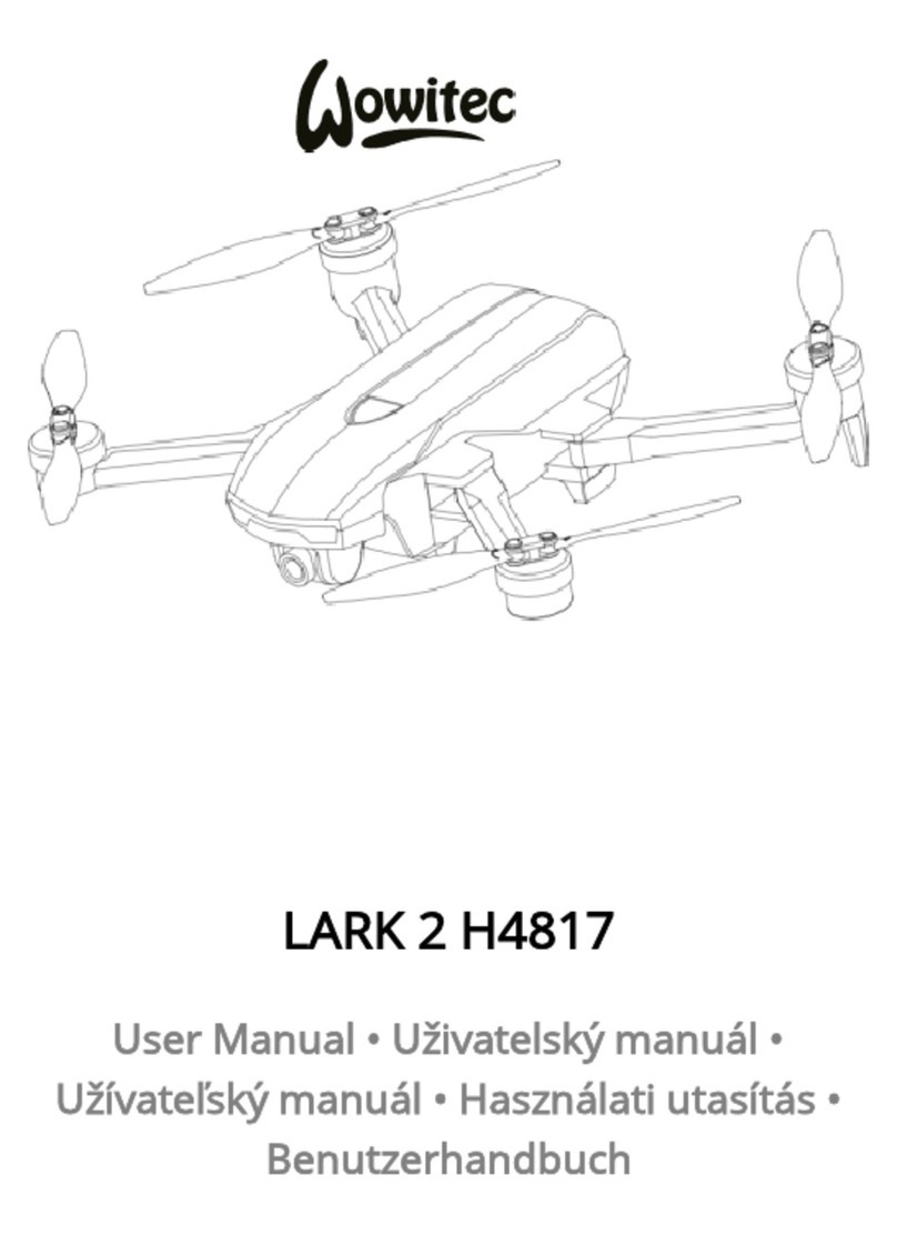 Wowitoys Wowitec LARK 2 user manual