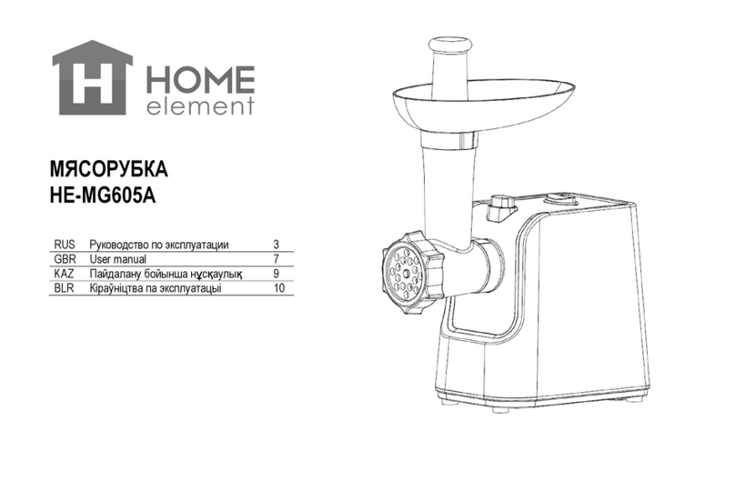HOME ELEMENT HE-MG605A User manual