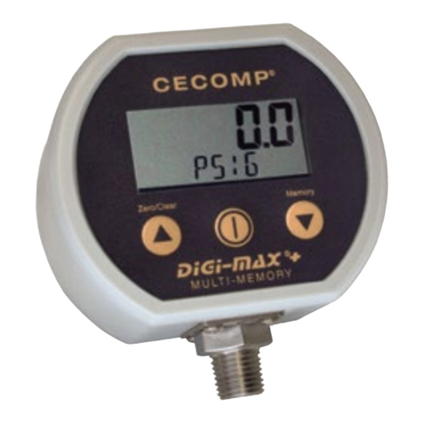 Absolute Process Instruments Cecomp F20B User manual