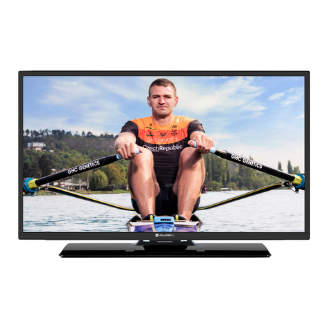 Gogen TVF32P471T instruction manual