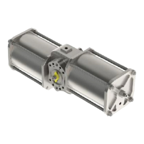 Emerson Bettis RGS Q Series User manual