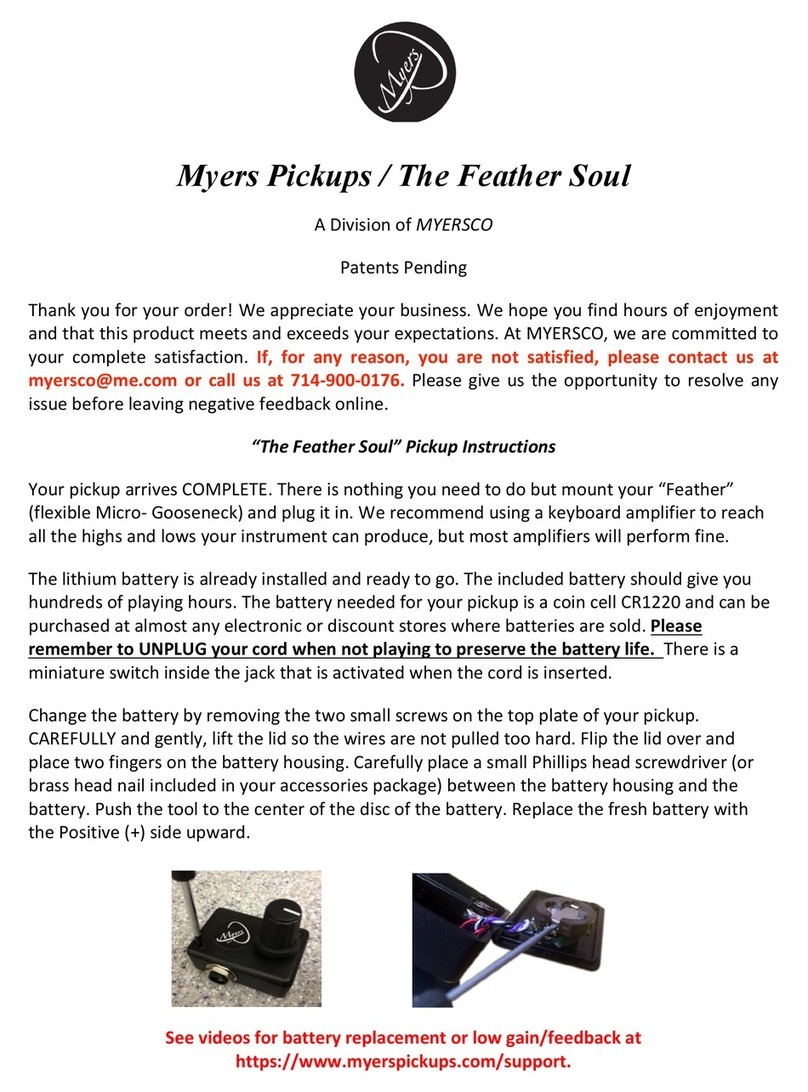 MYERS The Feather Soul instructions