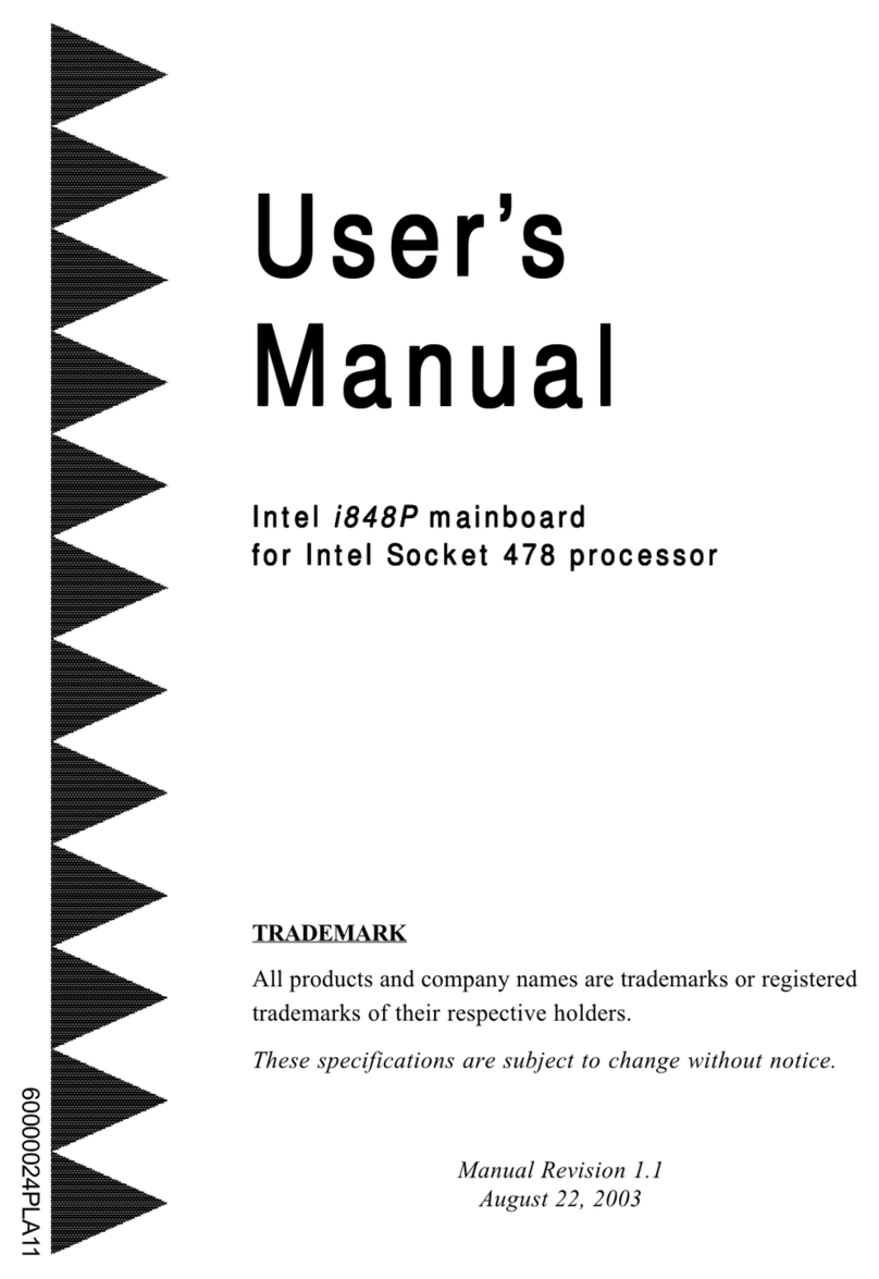 Intel i848P user manual