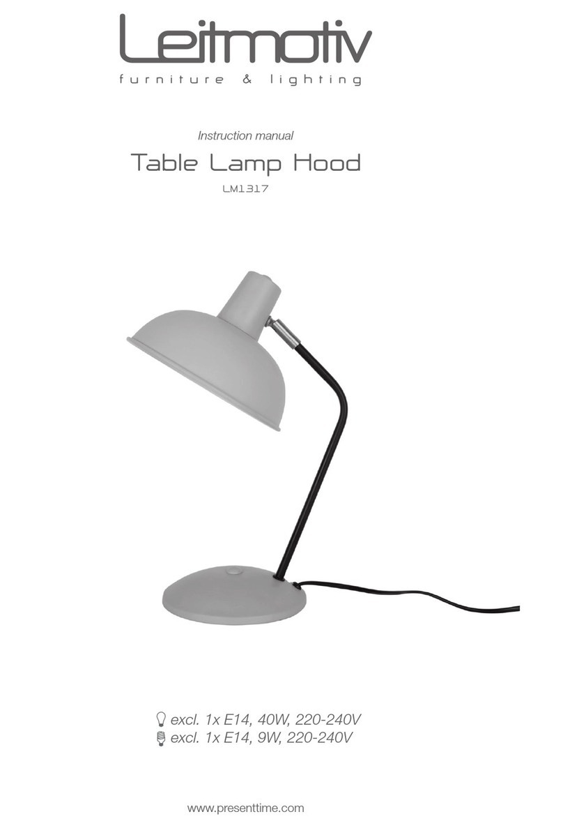 Leitmotiv LM1317 instruction manual