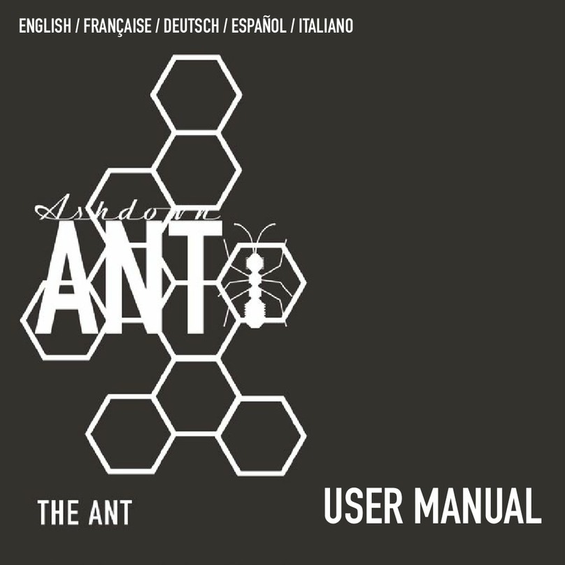 Ashdown THE ANT User manual