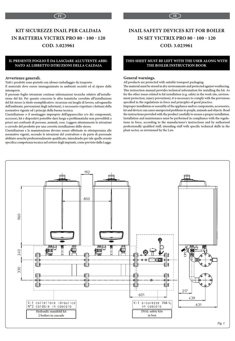 Immergas INAIL VICTRIX PRO 80 User manual