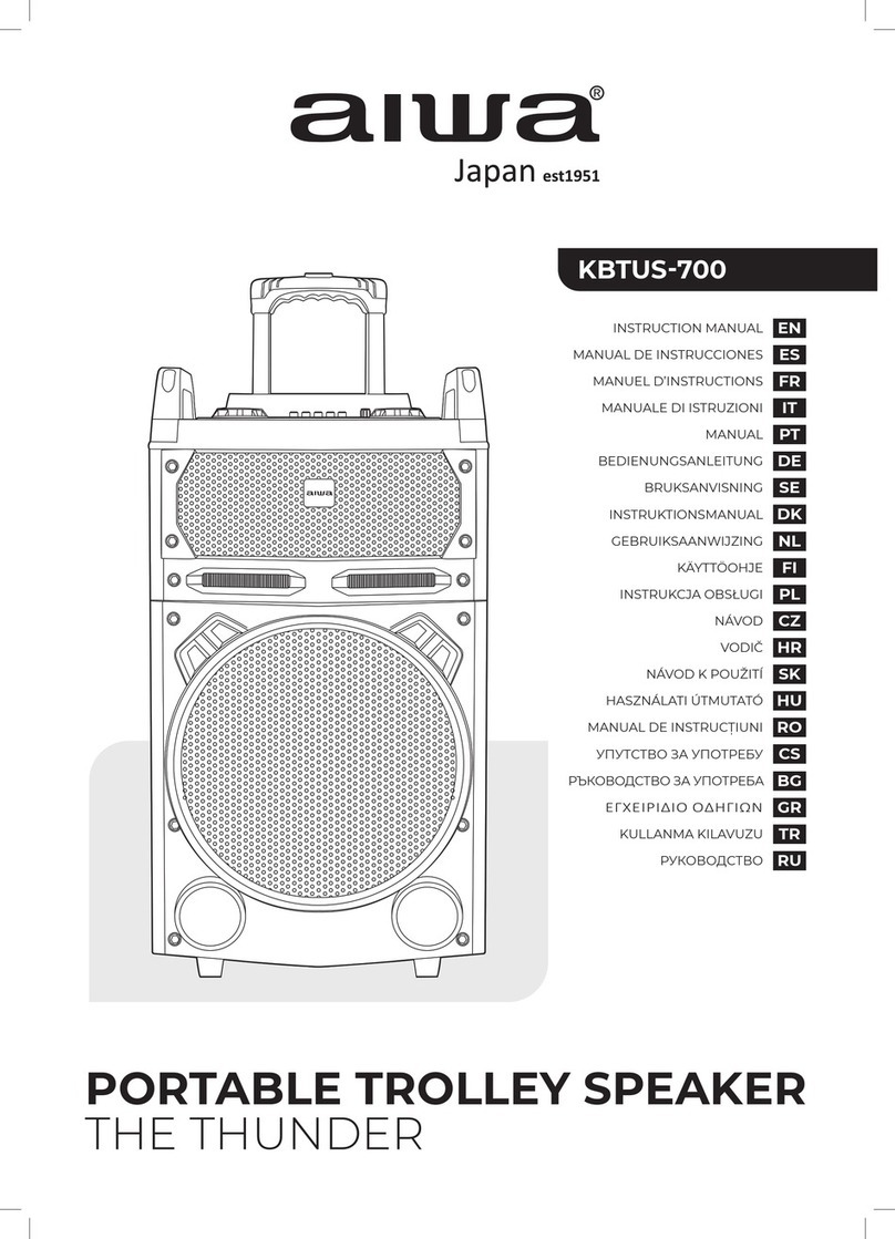 Aiwa THE THUNDER instruction manual