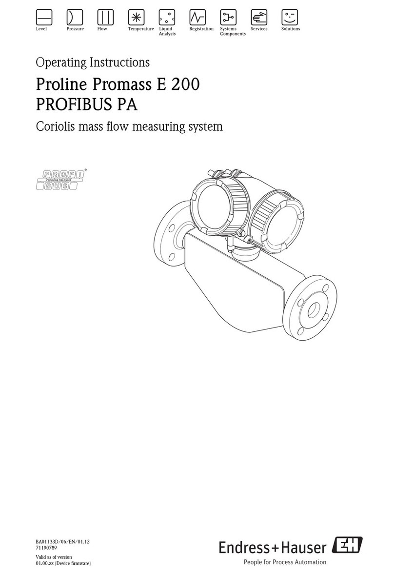 Endress+Hauser Proline Promass E 200 User manual