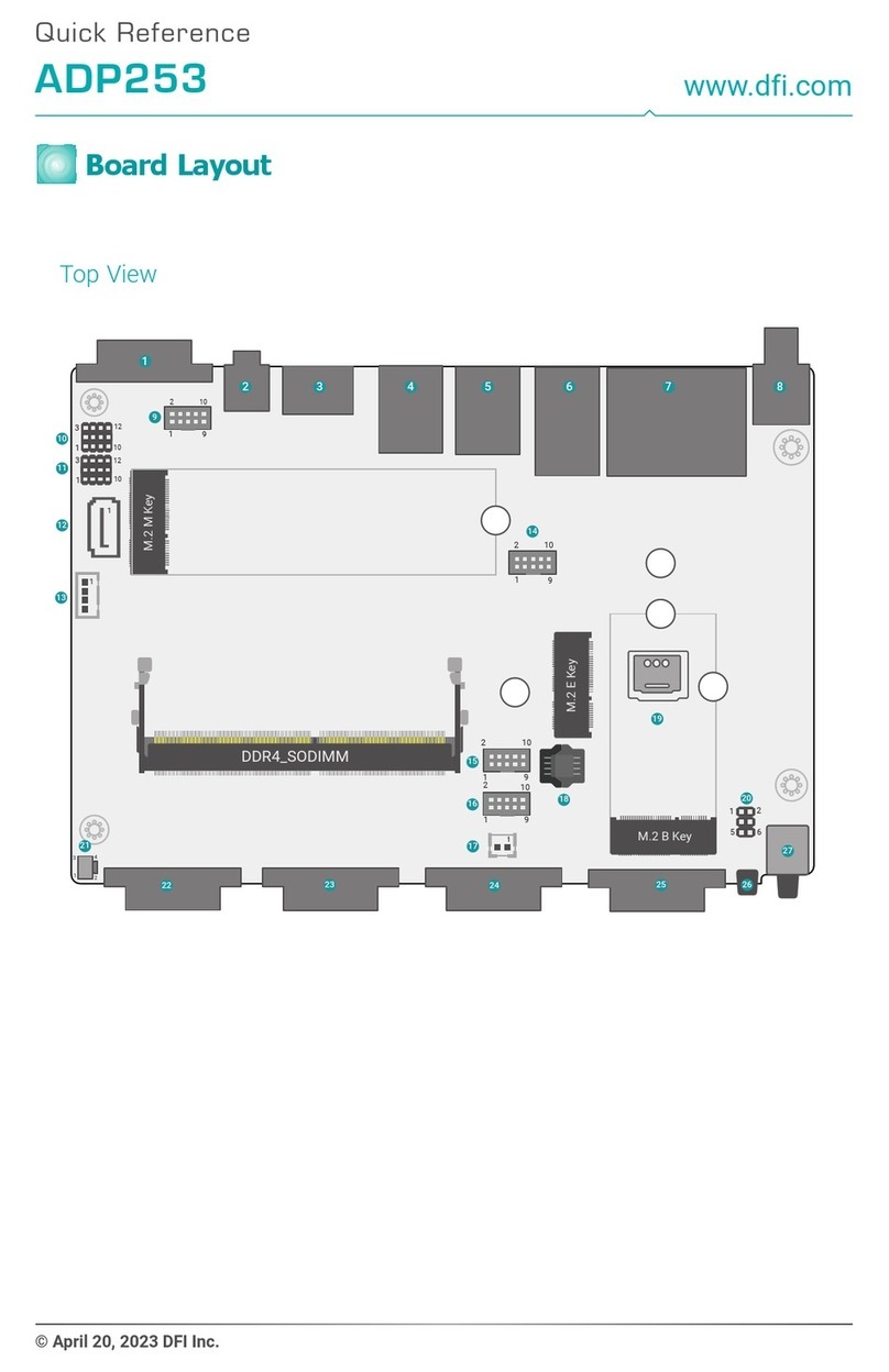 DFI ADP253 User manual
