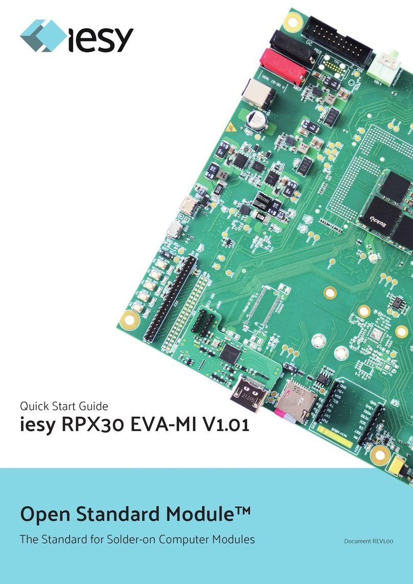 iesy Open Standard Module RPX30 EVA-MI V1 quick start guide