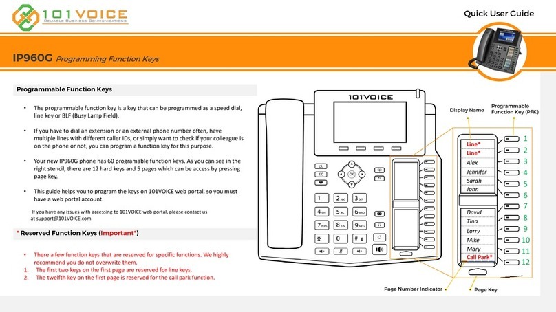 101VOICE IP960G Instruction manual