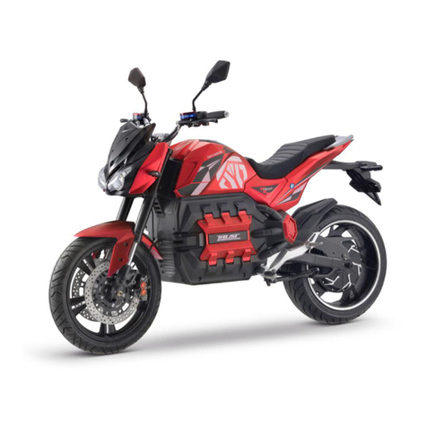 Dayi Motor E-ODIN 2.0 user manual