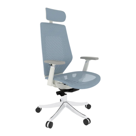 Flexispot BS11-PRO User manual Flexispot BS11-PRO User manual