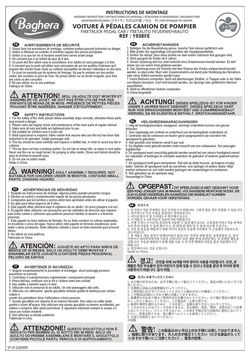 Baghera 1938FE Assembly instruction