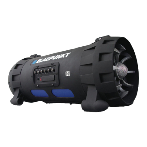 Blaupunkt BPE1008BT User manual