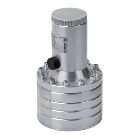 Dungs FRSBV 20010 Series User manual