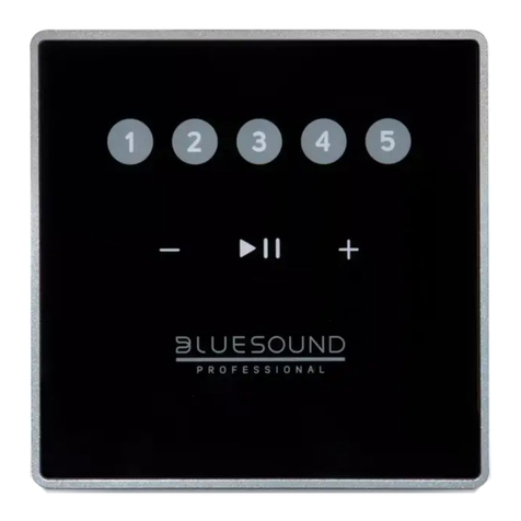 Bluesound Professional CP100 User manual