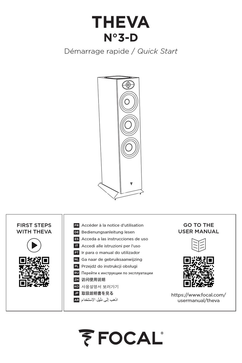 Focal THEVA  3-D User manual