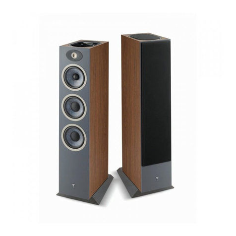 Focal THEVA  3-D User manual
