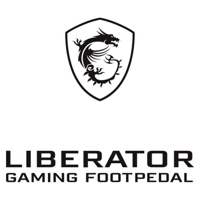 MSI LIbERATOR manual