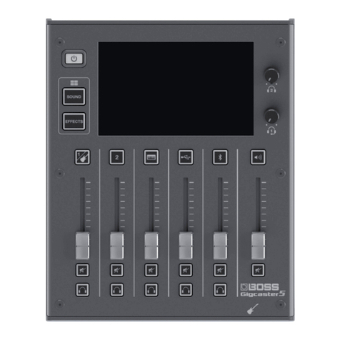 BOSSCO Gigcaster 5 User guide