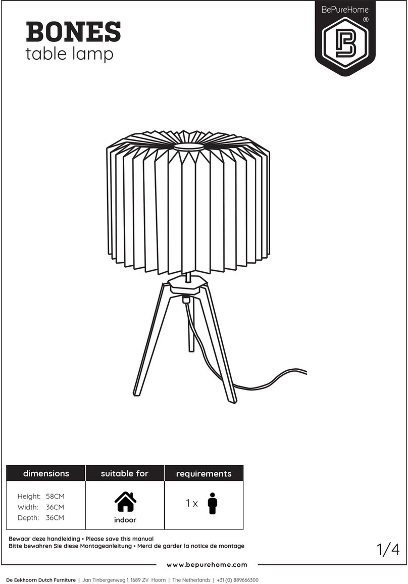 BePureHome BONES manual