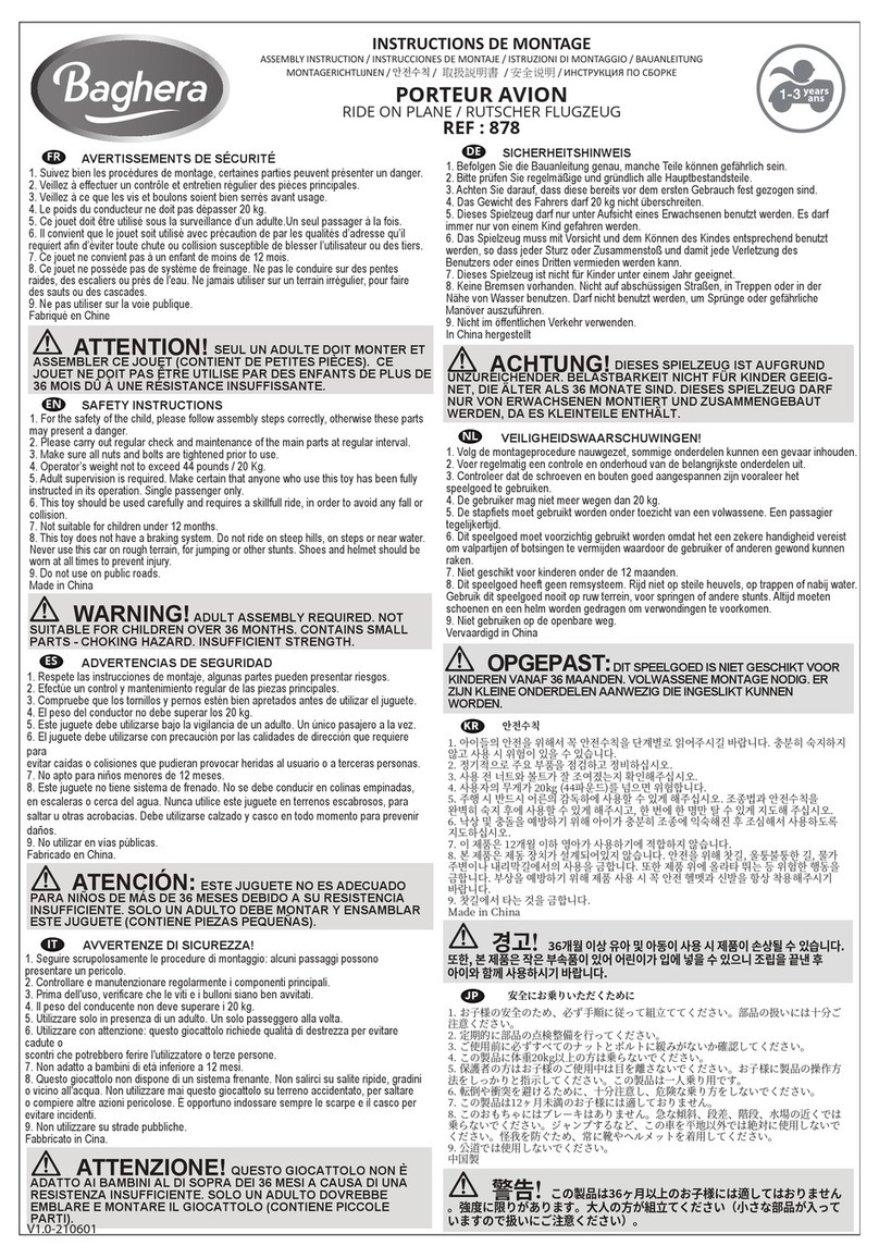 Baghera 878 Assembly instruction