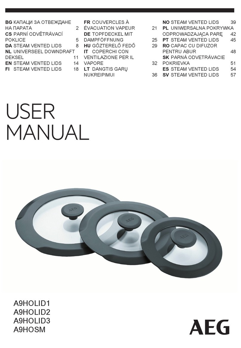 AEG A9HOLID1 User manual