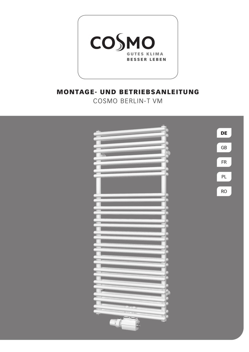 Cosmo BERLIN-T VM installation instructions