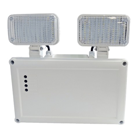 RICOMAN Gemini installation instructions
