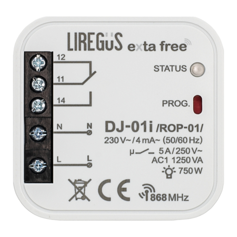 LIREGUS DJ-01i Manual instruction