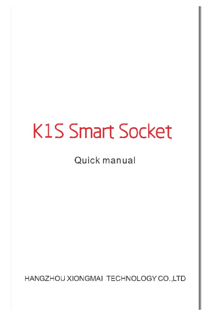 XiongMai Technology K1S Quick manual