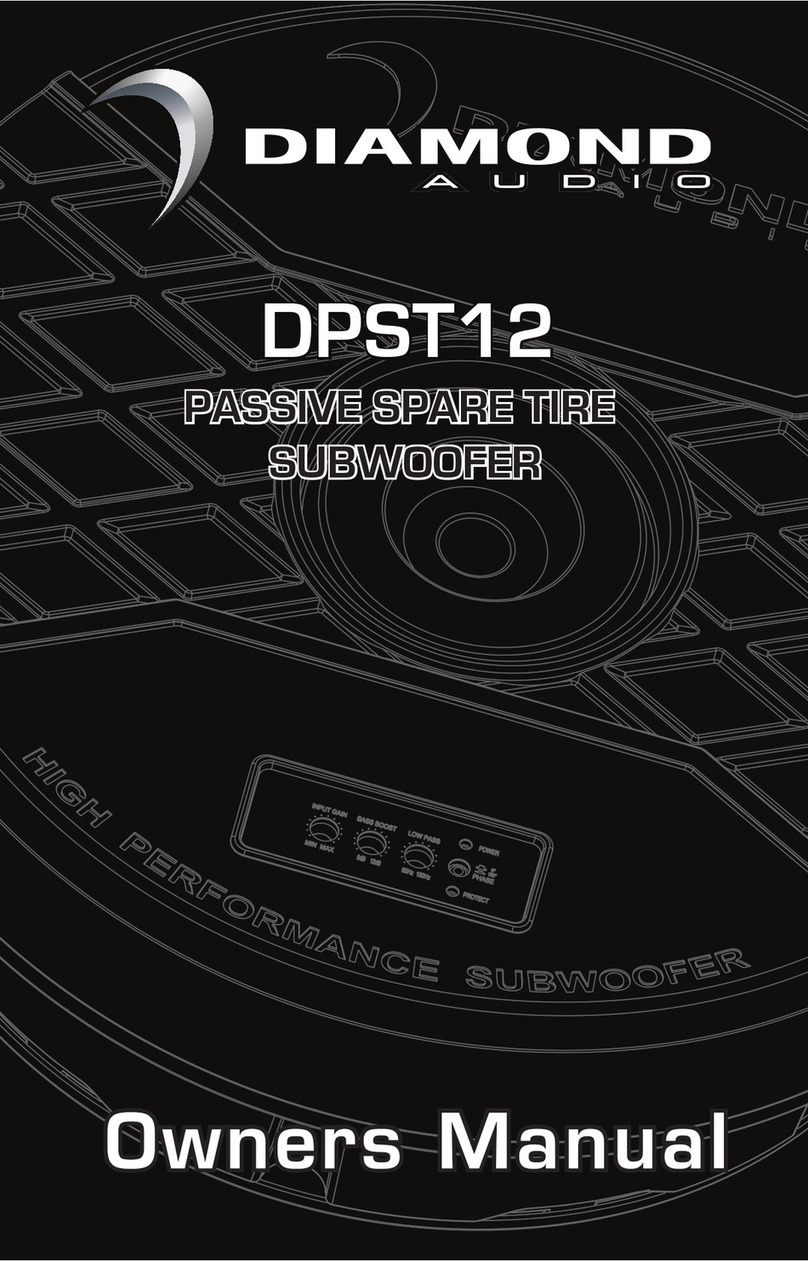 Diamond Audio DPST12 User manual